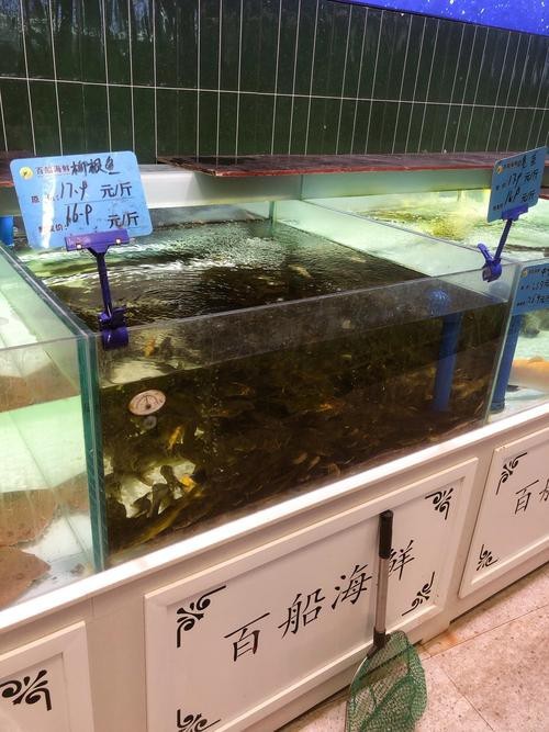 濟南龍魚批發價格表圖片
