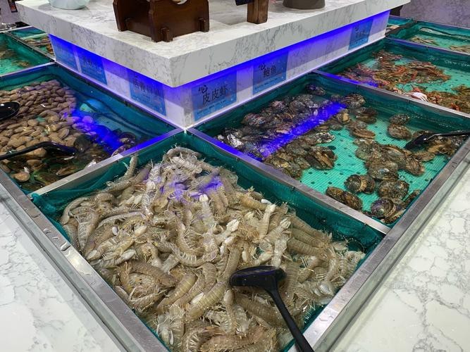 濟南龍魚批發價格表圖片