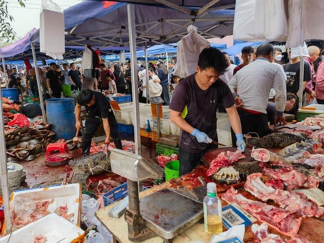 濟南龍魚批發價格表圖片