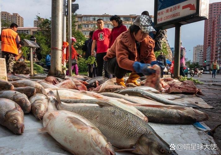 濟南龍魚批發價格表圖片