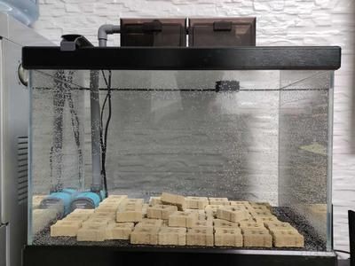 底濾魚缸怎么換過濾棉（魚缸更換過濾棉的方式） 底濾魚缸怎么換過濾棉（魚缸更換過濾棉的方式） 魚缸百科 第4張