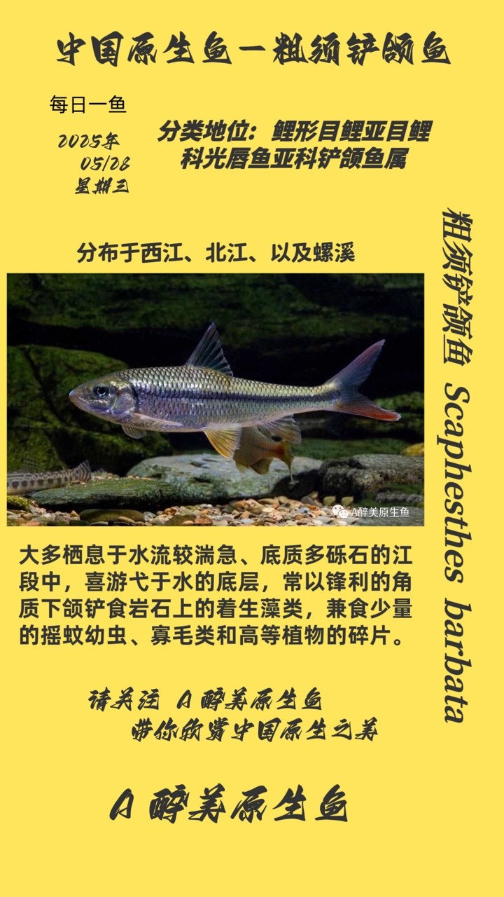 赤水市森森水族館（赤水市森森水族館電話） 赤水市森森水族館（赤水市森森水族館電話） 全國水族館企業名錄
