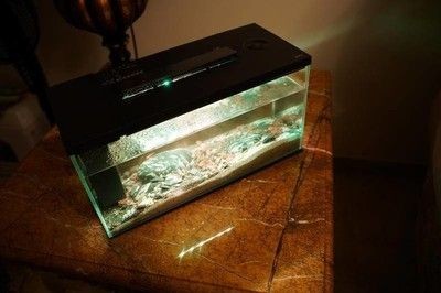 小佩魚缸pro不出氣泡怎么回事：小佩魚缸pro不出氣泡可能有多種原因及解決辦法