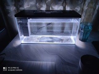 小佩魚缸pro不出氣泡怎么回事：小佩魚缸pro不出氣泡可能有多種原因及解決辦法