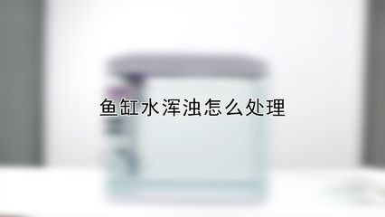 淡水魚魚缸加鹽的注意事項：淡水魚魚缸加鹽的作用