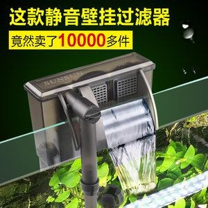 魚缸過濾器的使用方法：如何判斷魚缸過濾器選型指南，魚缸過濾器日常維護要點