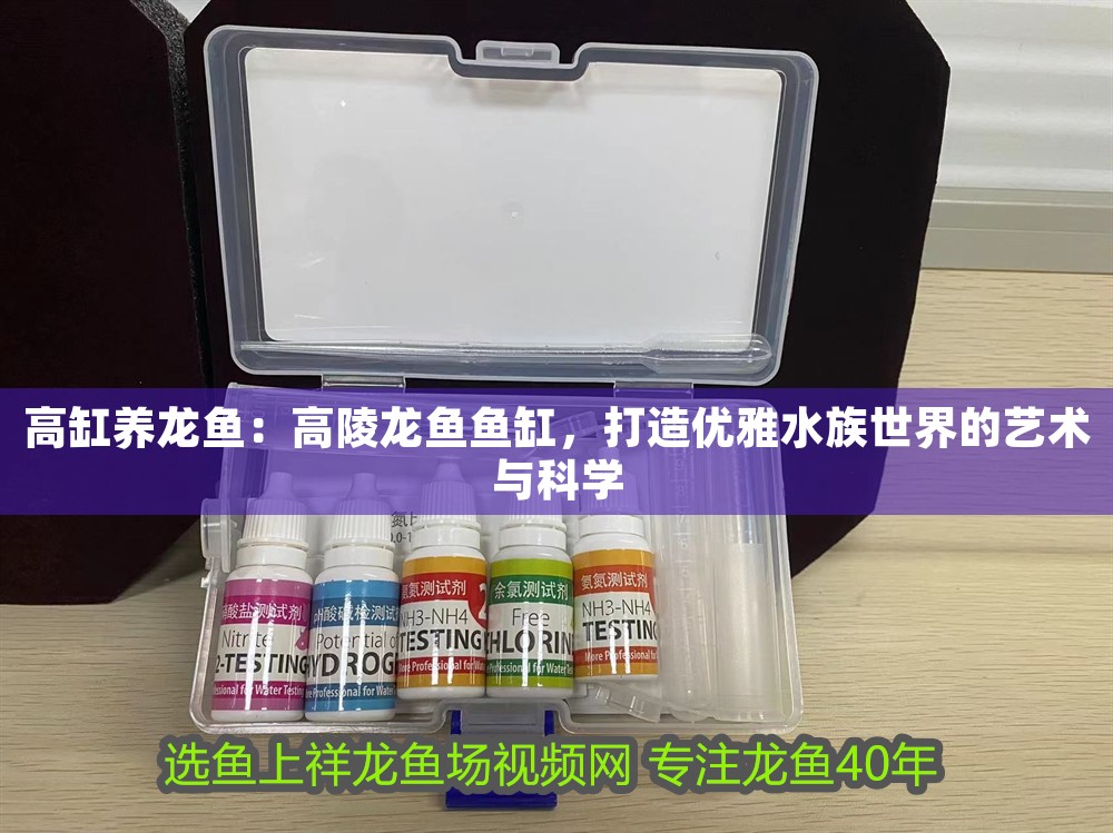 高缸養龍魚：高陵龍魚魚缸，打造優雅水族世界的藝術與科學 高缸養龍魚：高陵龍魚魚缸，打造優雅水族世界的藝術與科學 魚缸百科 第1張