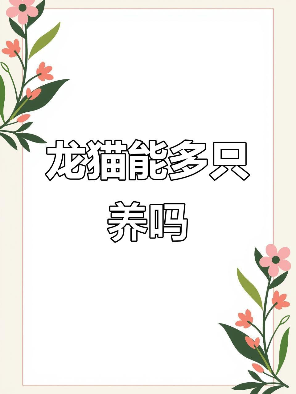 貓和龍貓混養需要多大的空間？