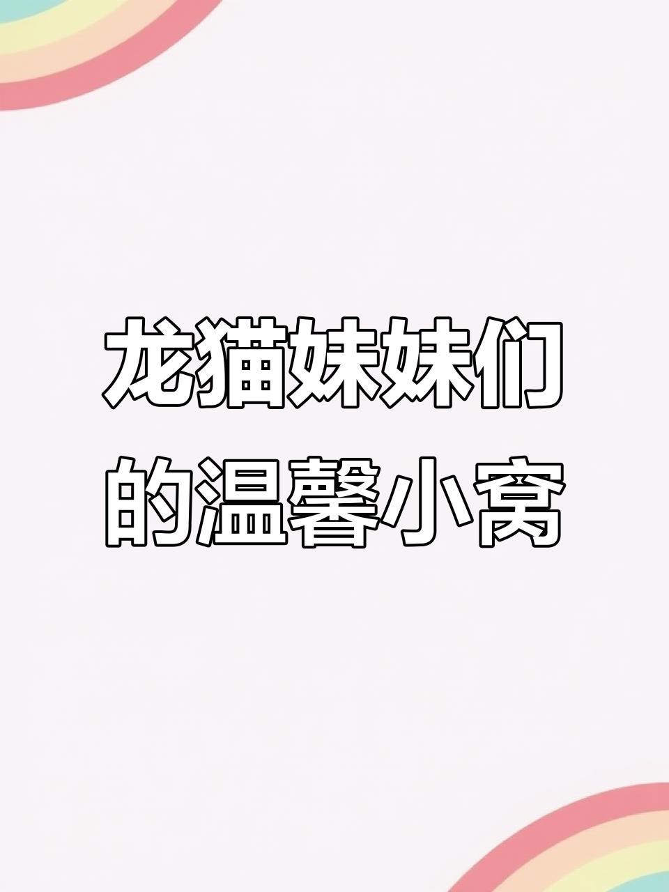 貓和龍貓混養需要多大的空間？