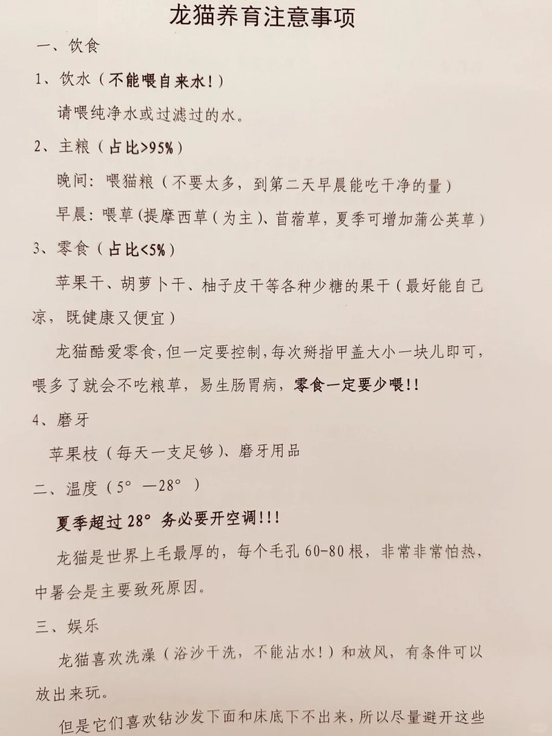 貓和龍貓混養需要多大的空間？