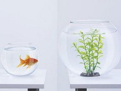 農村魚缸放臥室哪個位置合適（農村魚缸放臥室哪個位置合適,避免橫梁壓頂的地方）