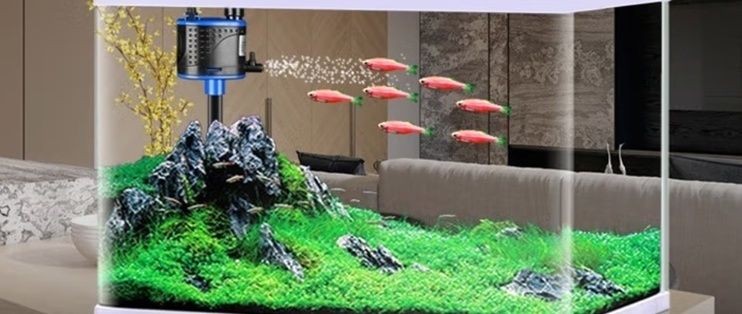 新寵之康魚缸：“新寵之康魚缸”的寵物水族館，美觀又實用的養(yǎng)魚空間