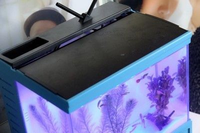 漢霸魚缸與其他品牌的同類產品相比，具有其獨特的優勢和特點：漢霸魚缸與其他品牌的區別