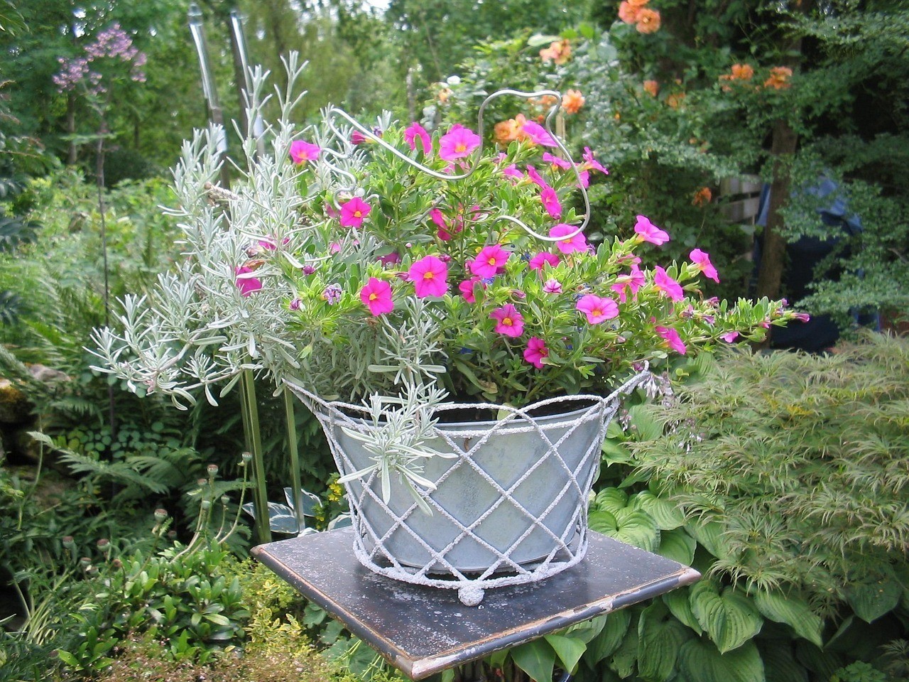 東河區花儂鮮花綠植店(東河區花儂鮮花綠植店地址) 全國水族館企業名錄 第1張 東河區花儂鮮花綠植店(東河區花儂鮮花綠植店地址) 東河區花儂鮮花綠植店(東河區花儂鮮花綠植店地址) 全國水族館企業名錄 第1張