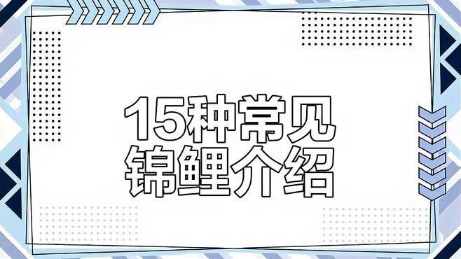如何區(qū)分錦鯉和龍魚？