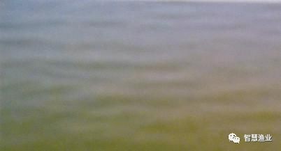 嘉興市南湖區城東海納利爾水族館（嘉興市南湖區城東海納利爾水族館電話） 嘉興市南湖區城東海納利爾水族館（嘉興市南湖區城東海納利爾水族館電話） 全國水族館企業名錄