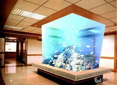 公司放魚缸的風水好嗎（辦公室布局與風水）