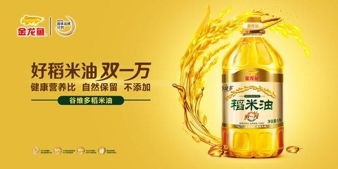 金龍魚健康嗎：金龍魚健康嗎？