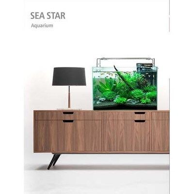 玩家級魚缸：什么是玩家級魚缸