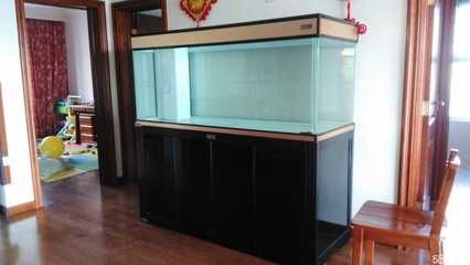 玩家級魚缸：什么是玩家級魚缸