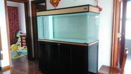 玩家級魚缸：什么是玩家級魚缸