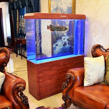 玩家級魚缸：什么是玩家級魚缸