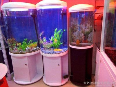 魚缸圖片效果圖半半園魚缸（半圓形魚缸圖片效果圖）
