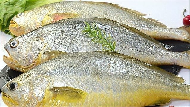 黃龍魚的價(jià)格 黃龍魚的價(jià)格 龍魚百科 第10張