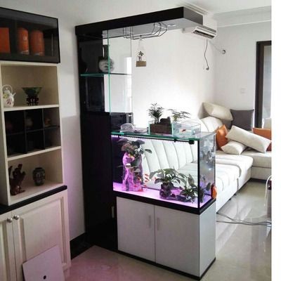 生態魚缸的生態構建：廣東新概念水族魚缸的生態構建