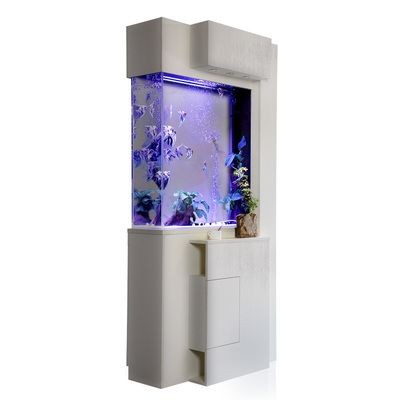 生態魚缸的生態構建：廣東新概念水族魚缸的生態構建