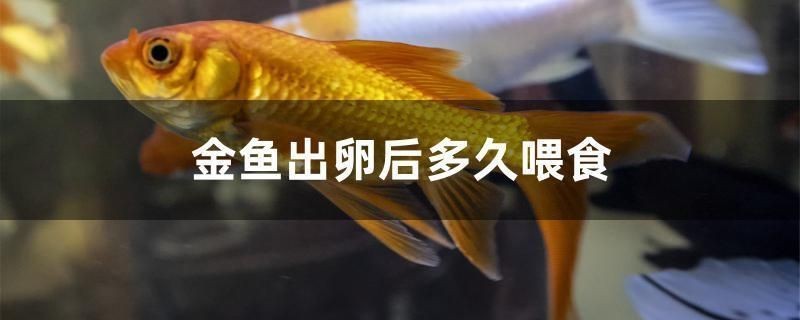 安順市西秀區王記水族經營部（安順市西秀區王記水族經營部電話） 安順市西秀區王記水族經營部（安順市西秀區王記水族經營部電話） 全國水族館企業名錄