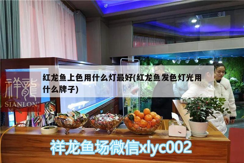紅龍魚上色用什么燈最好(紅龍魚發(fā)色燈光用什么牌子) 紅龍魚上色用什么燈最好(紅龍魚發(fā)色燈光用什么牌子) 魚缸百科