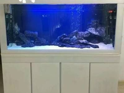 魚缸多少天換一次水合適（魚缸多少天換一次水合適魚缸換水的頻率取決于多種因素）