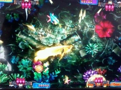 三色金龍魚捕魚（三色金龍魚捕魚游戲）