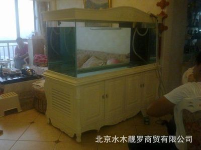 訂做魚缸的價格范圍和具體價格實例：訂做魚缸的價格與維護