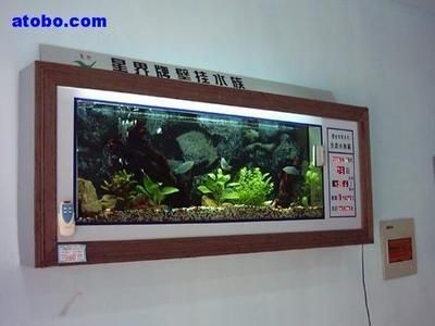 訂做魚缸的價格范圍和具體價格實例：訂做魚缸的價格與維護