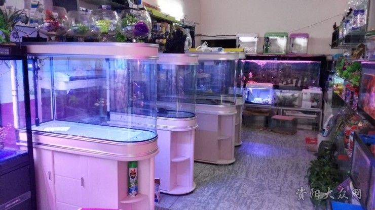 森森魚缸官網門店（森森魚缸官方網站）
