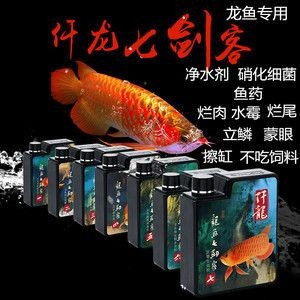 龍魚蒙眼爛尾：龍魚蒙眼爛尾的原因及其治療方法 龍魚蒙眼爛尾：龍魚蒙眼爛尾的原因及其治療方法 龍魚百科 第4張