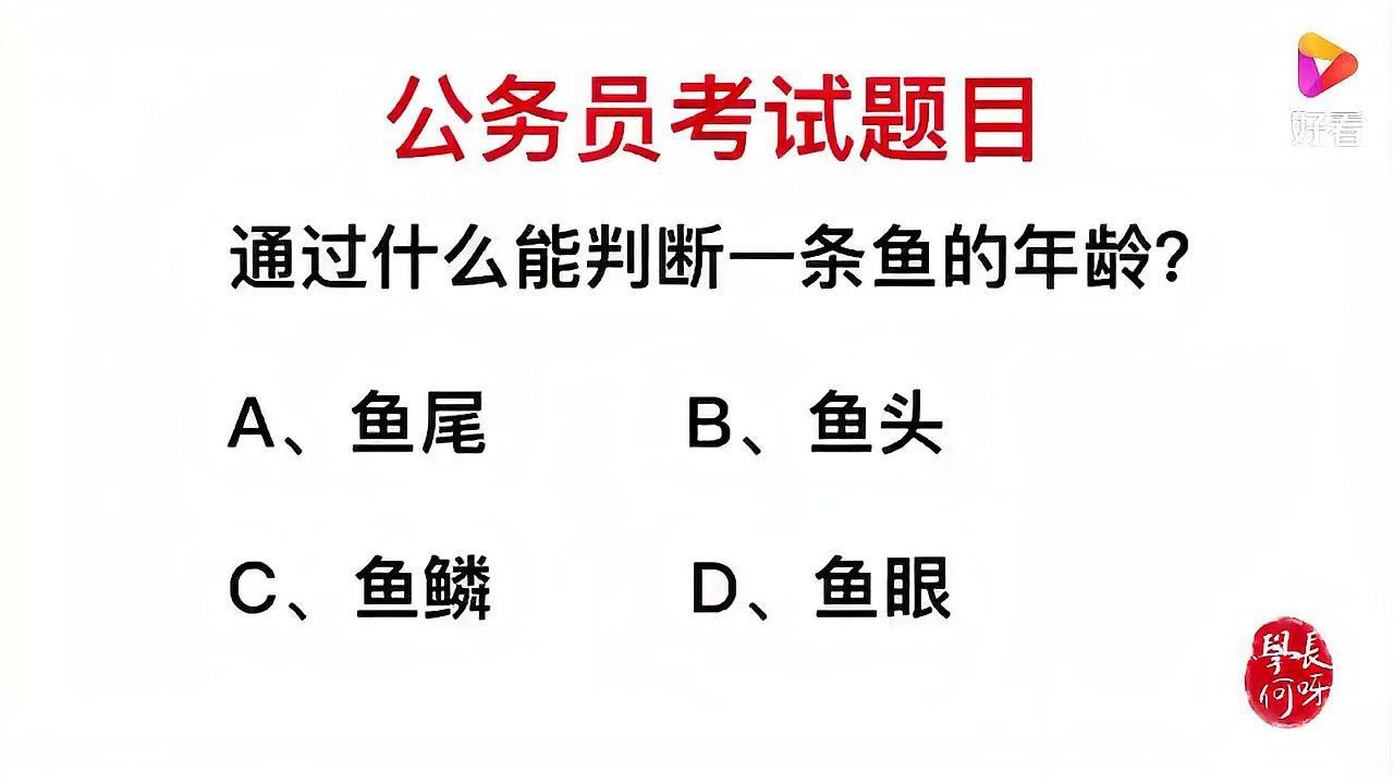 過背金龍魚怎么看年齡圖解視頻 過背金龍魚怎么看年齡圖解視頻 龍魚百科 第1張