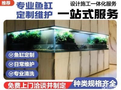 寵物店魚缸布置技巧：如何在寵物店中布置魚缸以吸引顧客