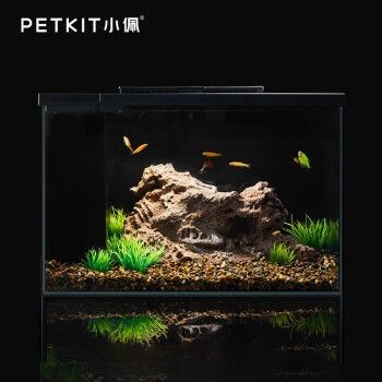 起源紀魚缸：起源紀魚缸的設計與制作過程 起源紀魚缸：起源紀魚缸的設計與制作過程 魚缸百科 第5張
