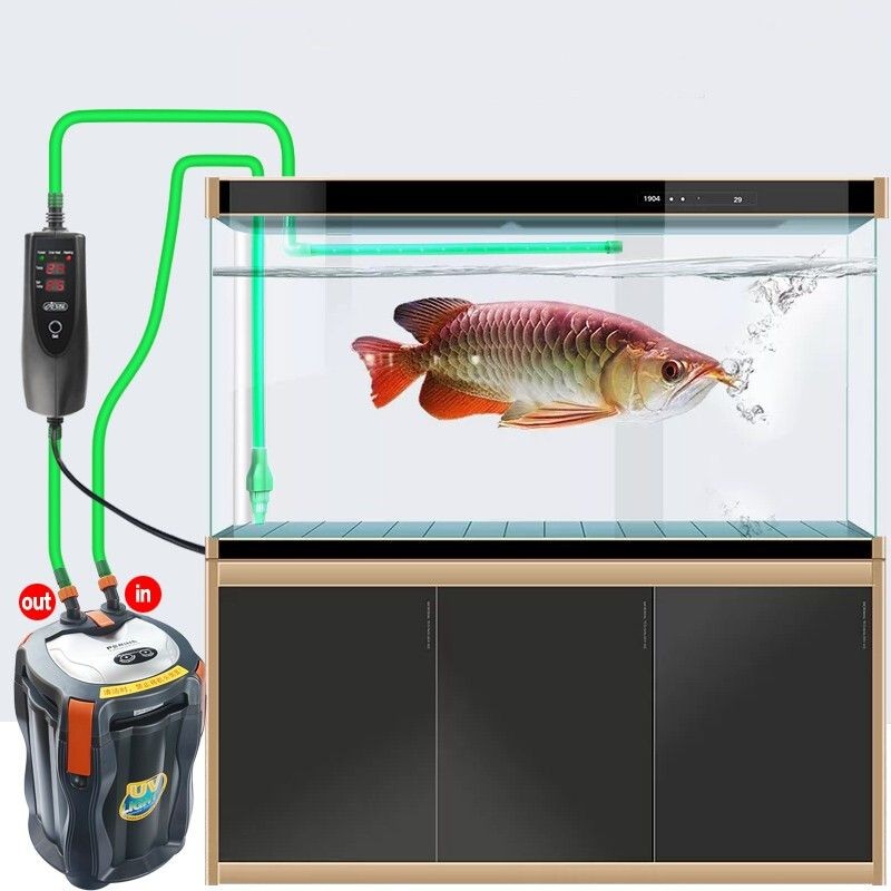 魚缸加溫器顯示LL：魚缸加溫器顯示ll是什么意思 魚缸加溫器顯示LL：魚缸加溫器顯示ll是什么意思 魚缸百科 第2張