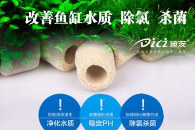 底過濾魚缸怎么選：底過濾魚缸哪個牌子好