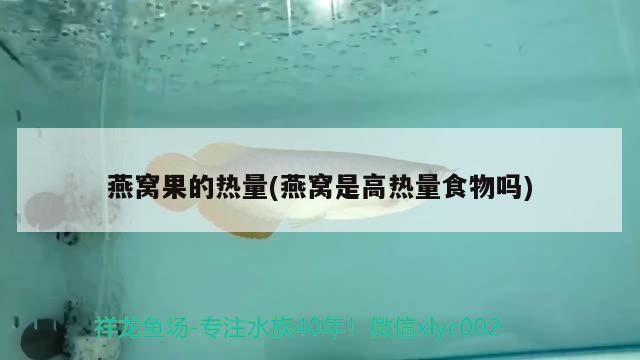 冠縣靜心鮮花店