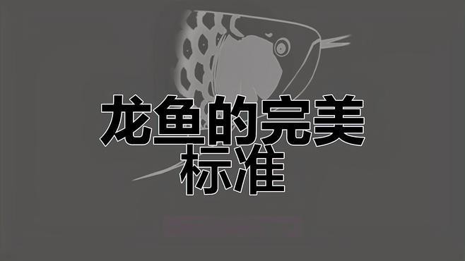 如何挑選紅龍魚(yú)的好壞