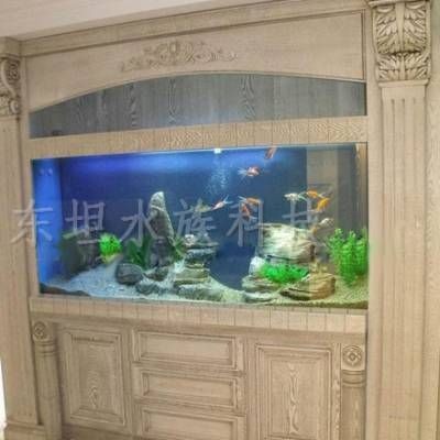 龍魚魚缸背景紙：龍魚魚缸背景紙怎么選擇
