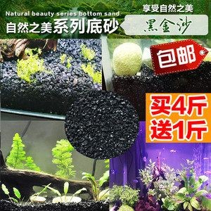 黑金沙的選購技巧黑金沙的選購技巧黑金沙的選購技巧：魚缸造景黑金沙的選擇與注意事項