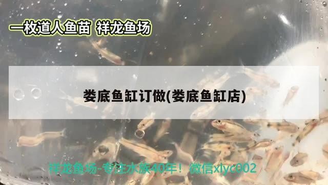 婁底魚缸訂做(婁底魚缸店)