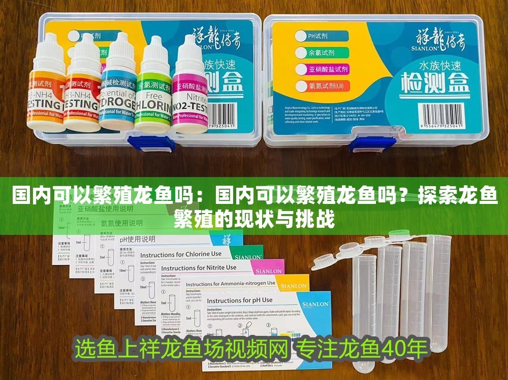 國內可以繁殖龍魚嗎：國內可以繁殖龍魚嗎？探索龍魚繁殖的現狀與挑戰 國內可以繁殖龍魚嗎：國內可以繁殖龍魚嗎？探索龍魚繁殖的現狀與挑戰 龍魚百科 第1張