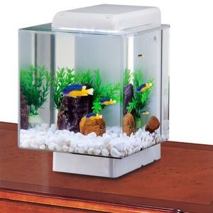 漢霸魚缸質量怎么樣，：漢霸魚缸的質量怎么樣